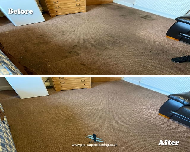Customer Stories_Pro Carpet Cleaning_before and after beige carpet cleaning