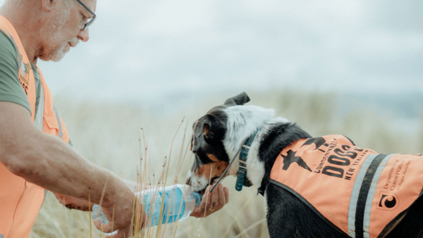 K9 Weed Detection_john and his dog wearing department of conservation vest jacket - conservation dogs new zealand