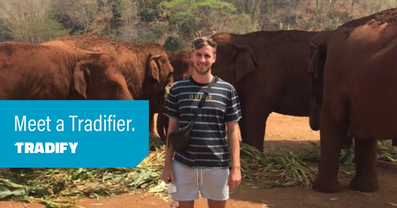 Meet a Tradifier heading with a photo of Ed posing with elephants