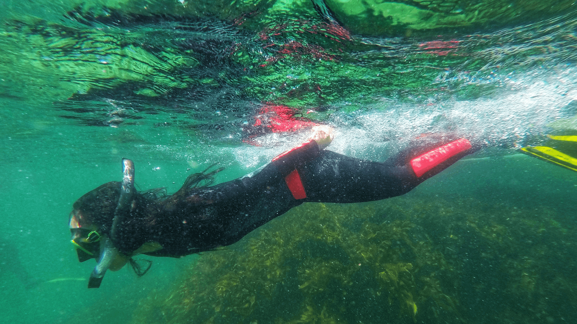 Mat_Amanda_amanda snorkelling in wetsuit in green water
