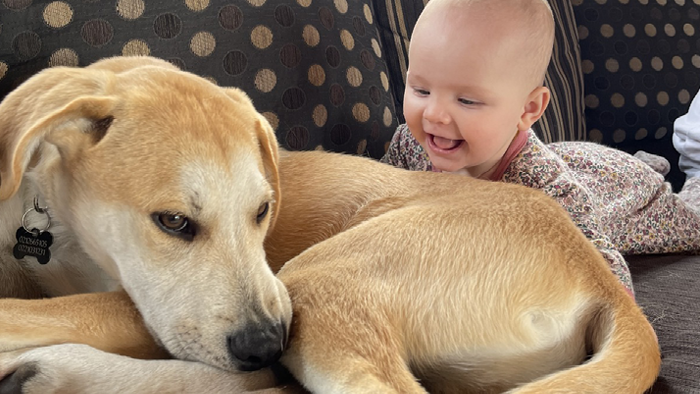 baby smiling looking at dog on the couch
