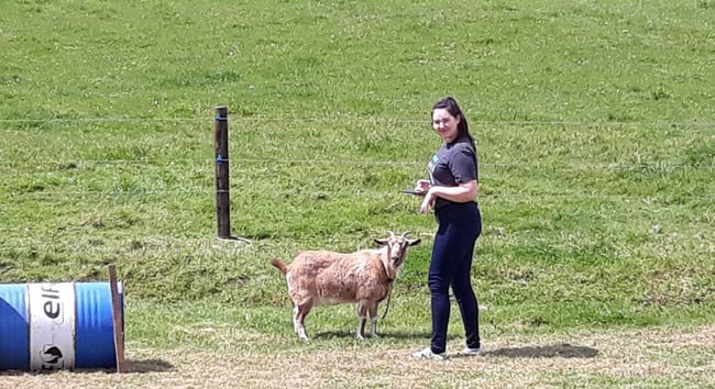 Odette hangs out in a field with a goat