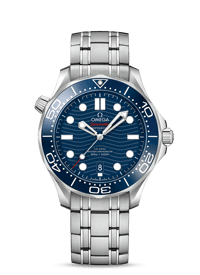 Omega seamaster diver